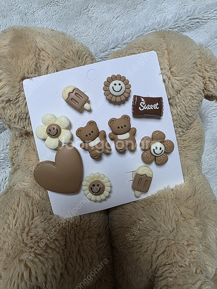 새상품)곰돌곰돌크록스지비츠--1