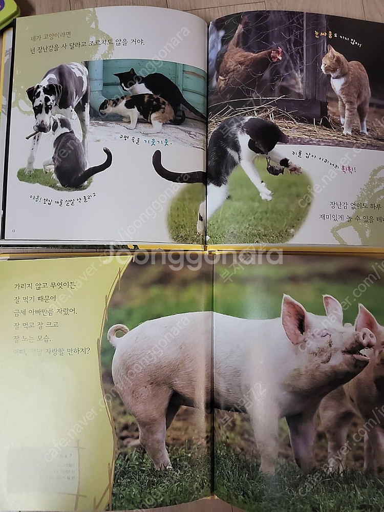교원 자연이 소곤소곤 61권 택포함--3