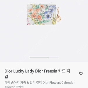 디올 카드지갑 신제품