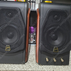 SWAN M200 MK2 스피커