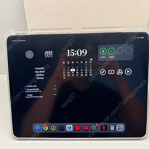 아이패드 12.9 5세대 셀룰러 512기가 S급