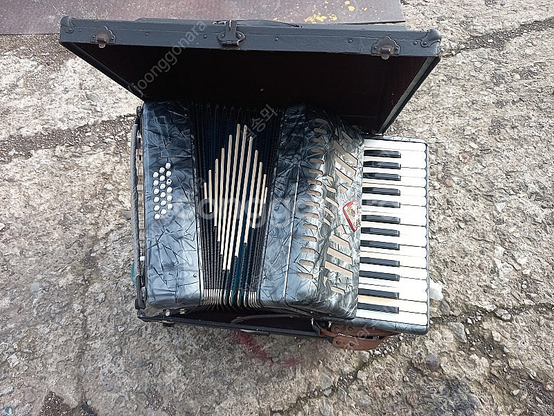 아코디언 ZEN ON (JAPAN)--3