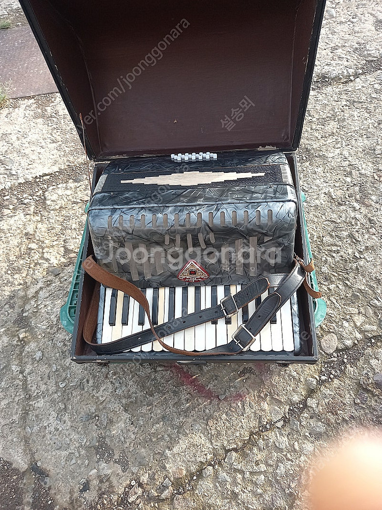 아코디언 ZEN ON (JAPAN)--4