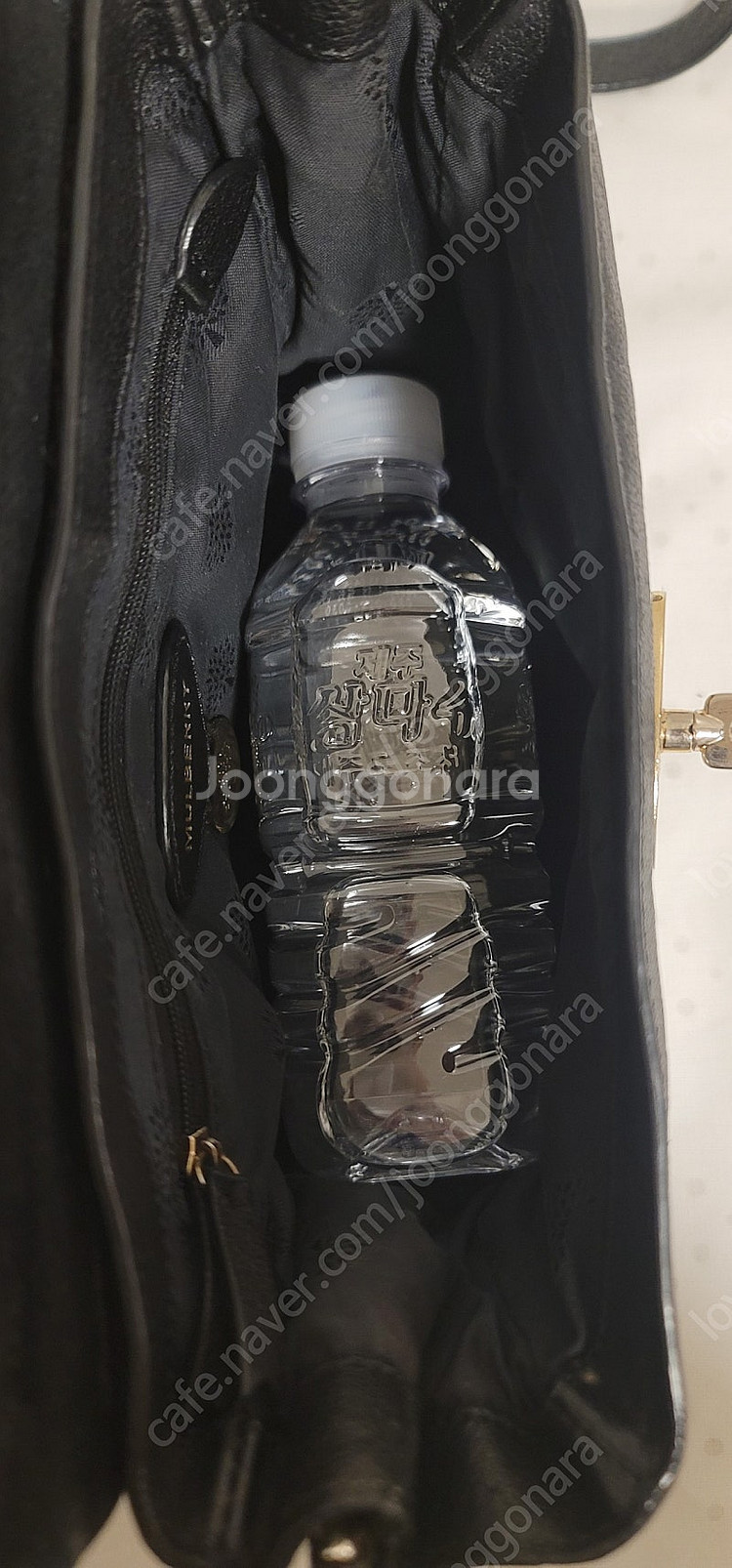 정품) 멀버리 알렉사 미니--9