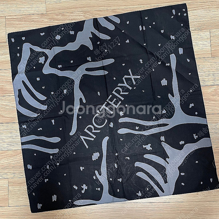 Arcteryx Handkerchief--5