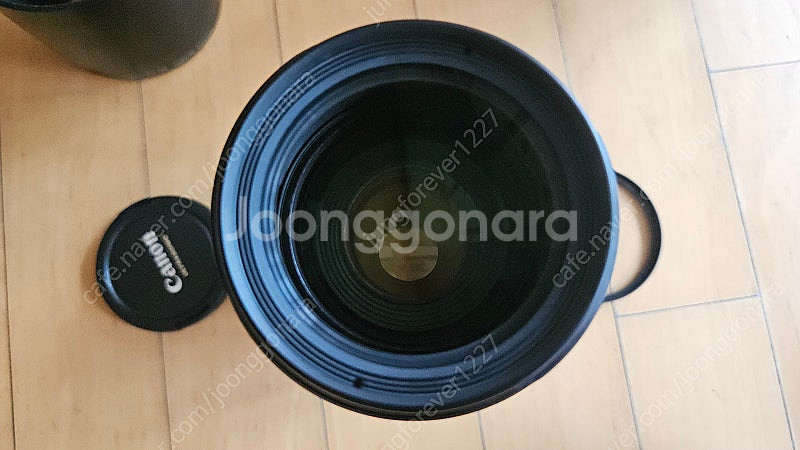 캐논 70-200 f4 형아백통--6