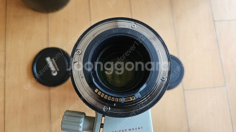 캐논 70-200 f4 형아백통--7