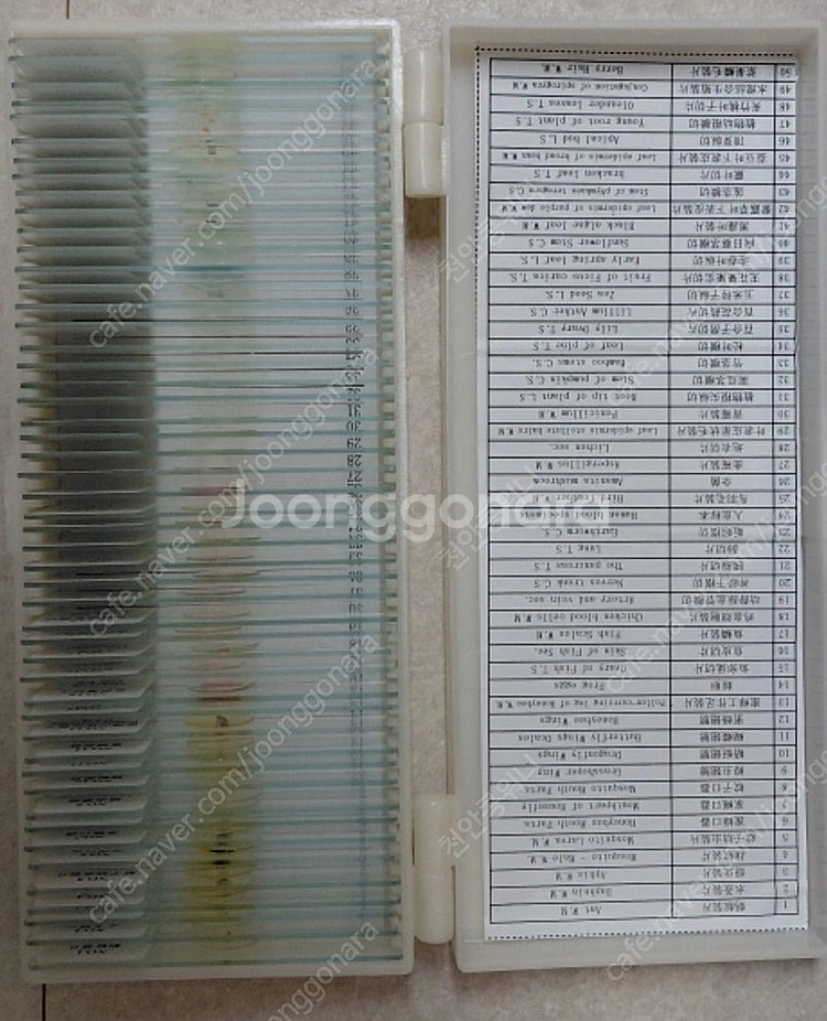 XSP-42XT 광학 실습 1600배 생물 현미경--3