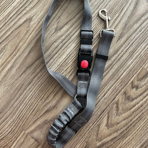 강아지 안전벨트