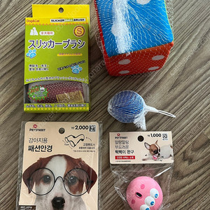 강아지 장난감 & 용품 세트