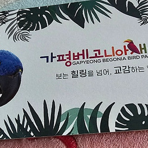 가평 베고니아 새정원 티켓 4매