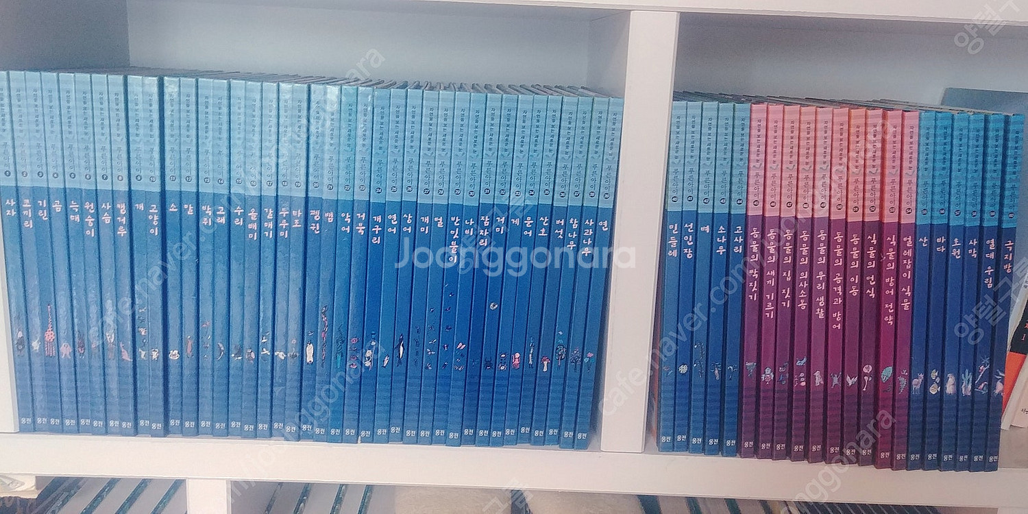 새책 중고전집 초등학생 학습 자연을 보는새로운눈 푸른아...--1