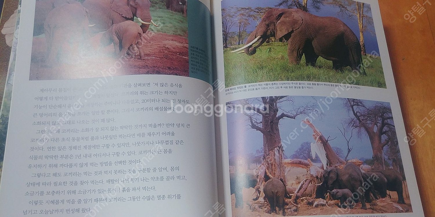 새책 중고전집 초등학생 학습 자연을 보는새로운눈 푸른아...--6