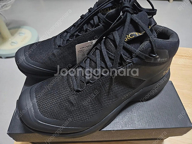 아크테릭스 여성 등산화 에어리어스 GTX 240--0