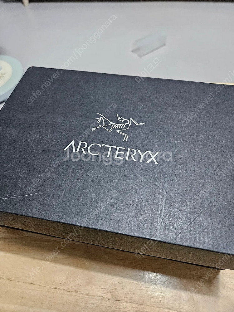 아크테릭스 여성 등산화 에어리어스 GTX 240--1