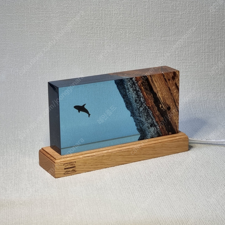 레진 수중 우드먼트 핸드메이드바다속 led조명--2