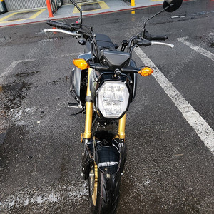 혼다 MSX125A Grom +블박