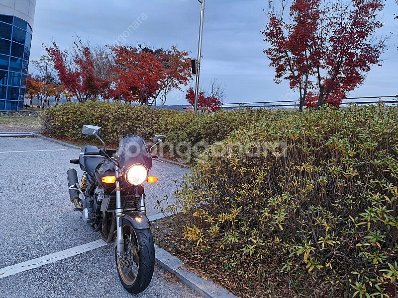 CB400 브이택1 (99년식)--3