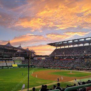 8/15금,8/16토,8/17일 SSG랜더스 LG트윈스 엘지트윈스 워터페스티벌 워터존 내야패밀리 스카이탁자 노브랜드 피코크테이블 1층테이블2층테이블 원정응원석 으쓱이존 프랜들리존