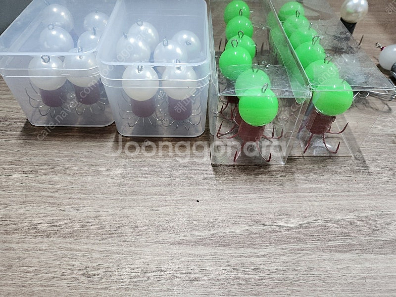 쭈꾸미 애자.쭈킬--1