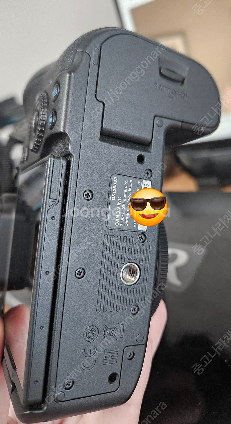 캐논 R6--2