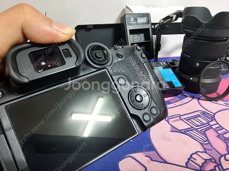 캐논 R7 + 시그마 18-50 F 2.8 + 스몰리그...--1