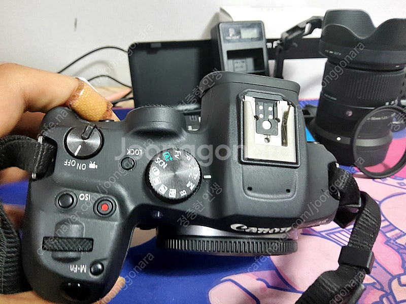 캐논 R7 + 시그마 18-50 F 2.8 + 스몰리그...--2