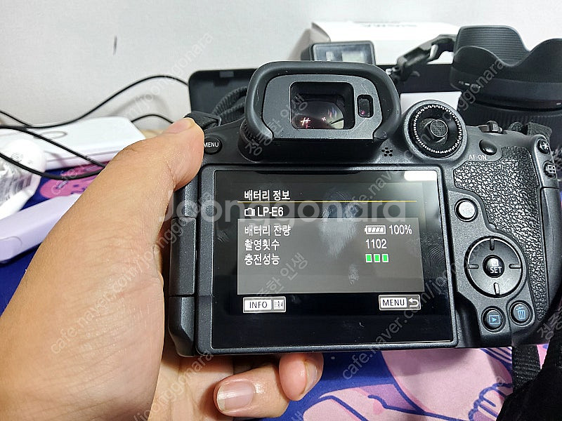 캐논 R7 + 시그마 18-50 F 2.8 + 스몰리그...--5