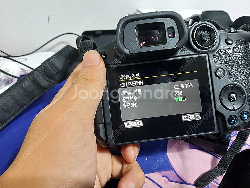 캐논 R7 + 시그마 18-50 F 2.8 + 스몰리그...--7