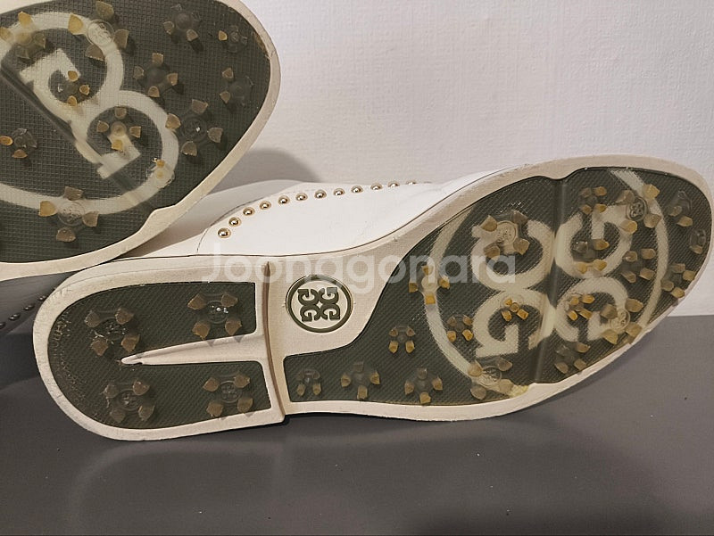 245mm 지포어 스터드 갤리벤터 골프화--8
