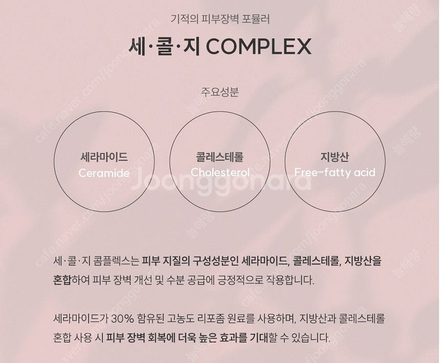 톡스앤필 스킨케어 기초 화장품 4종 세트 (비비지 리바...--9