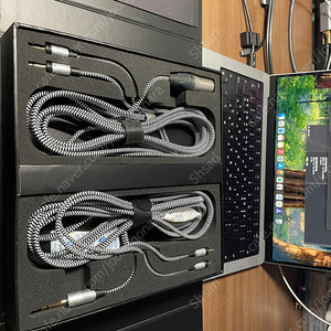 Focal Clear OG 포칼 클리어 OG
