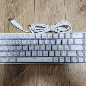 RGB 기계식 유선 키보드