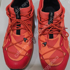 아크테릭스 노반vt gtx