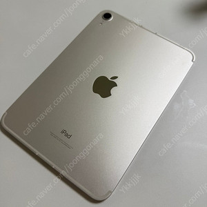 아이패드 미니6 256 셀룰러 스타라이트