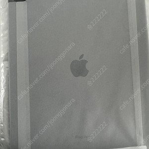 아이패드6세대 12.9 셀룰러 256 미사용