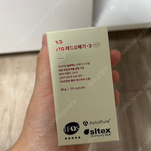조공 레드 오메가 미니 3통