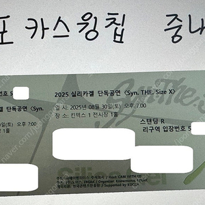 <최저가> 8월 30일 실리카겔 콘서트 스탠딩 2/3연석 단석