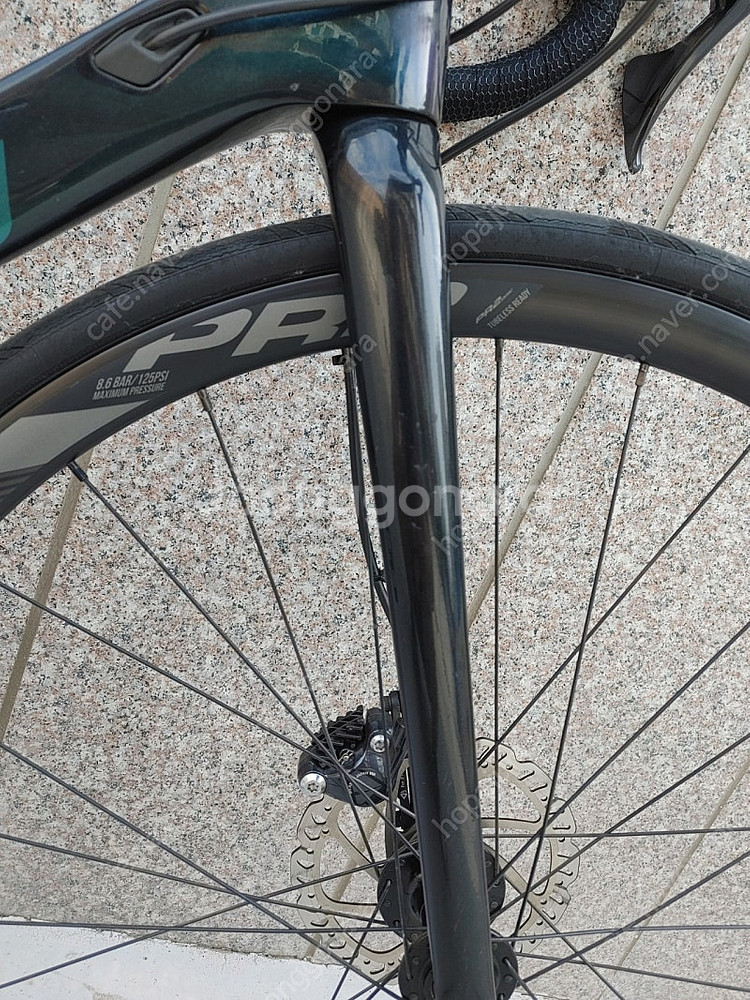 여성용 21년 자이언트 리브랑마 어드밴스1 풀 울테그라...--2