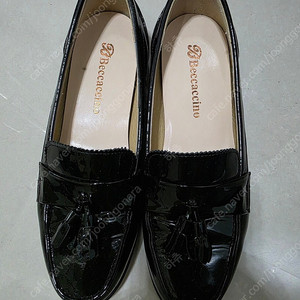 탠디 여성 로퍼 신발 240