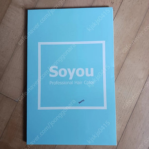 소유 염색약 차트 9,000원