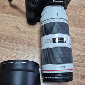 캐논 6dmark2,EF70-200USM 3,BG21외