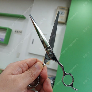 후쿠이가위