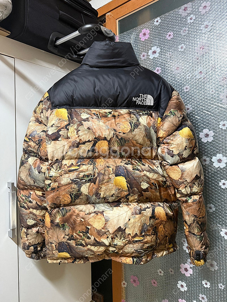 M] 슈프림 x 노스페이스 눕시 낙엽 - 16FW--1