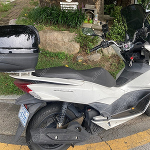 [부산금정구] PCX125 15년식(35,000KM) 팝니다!