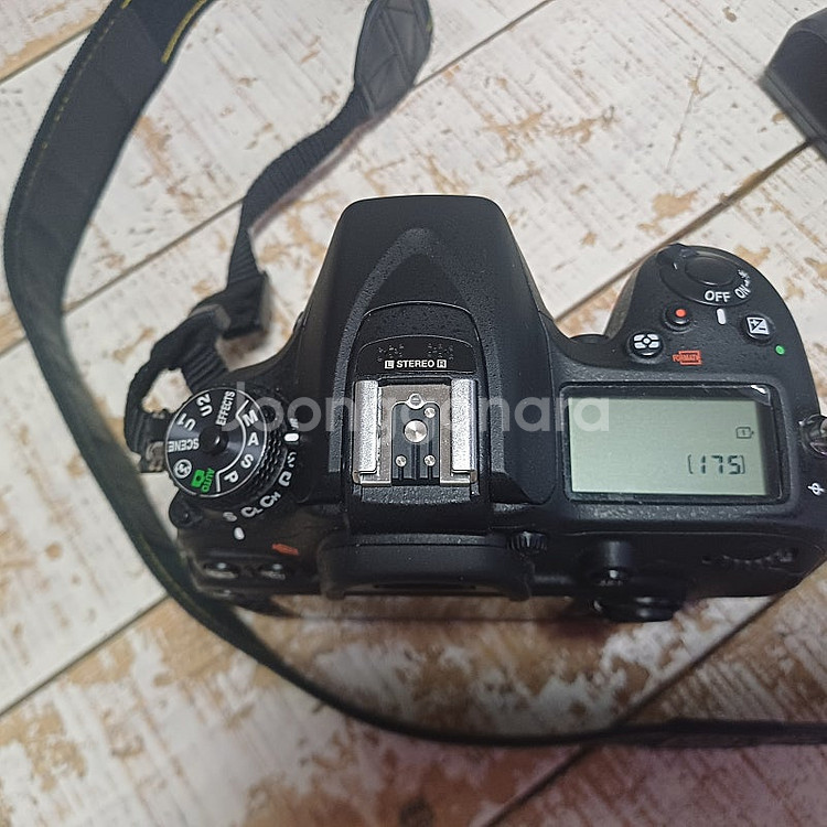 니콘 P1000 니콘 D7100--5