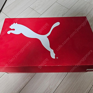 [새상품] PUMA Solaattack RCT 테니스화