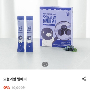 오늘과일 빌베리 1박스 14포(미개봉 새제품)