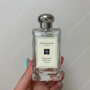조말론 런던 향수 우드세이지 앤 씨솔트 코롱 100ML