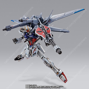 프리미엄 반다이 혼웹한정 메탈 빌드 IWSP